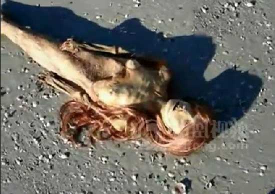中国南海发现鲛人真实图片 1980年渔民捕捉到人鱼尸体遂带回渔村