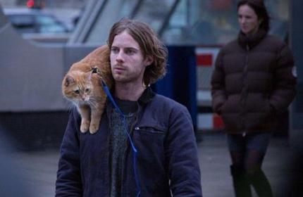 电影影评：《流浪猫鲍勃》原型詹姆斯·鲍文的真实故事