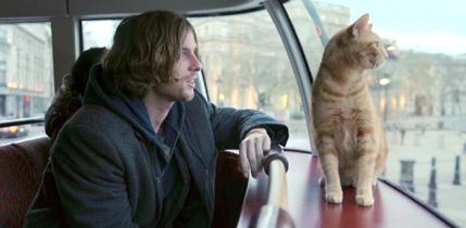 电影影评：《流浪猫鲍勃》原型詹姆斯·鲍文的真实故事