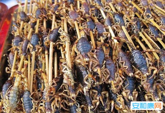 仫佬族吃虫节：奇葩传统节日吃虫节 吃蝗虫、蚂蚱、蝶蛹等昆虫 -3