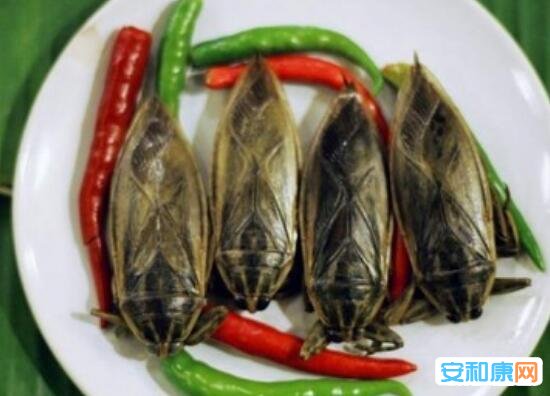 仫佬族吃虫节：奇葩传统节日吃虫节 吃蝗虫、蚂蚱、蝶蛹等昆虫 -6