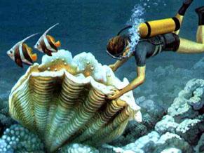 奇妙, 《海底两万里》中的生物原来长这样。