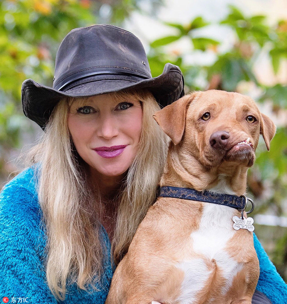 奇趣动物图片合集：千奇百怪的动物世界有哪些奇趣